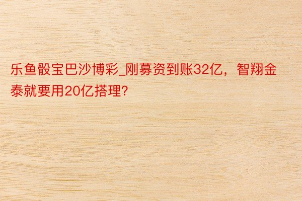 乐鱼骰宝巴沙博彩_刚募资到账32亿，智翔金泰就要用20亿搭理？