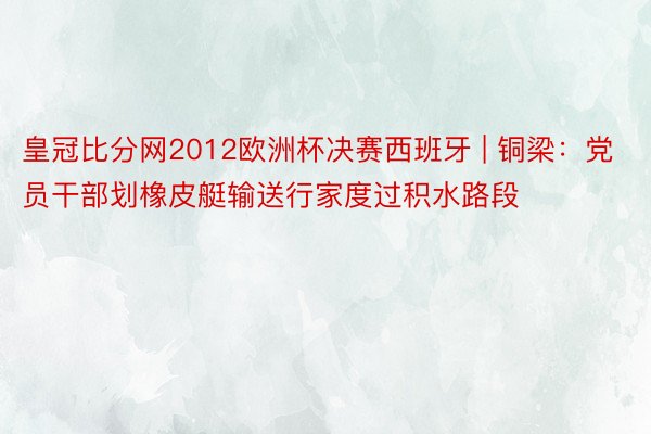 皇冠比分网2012欧洲杯决赛西班牙 | 铜梁：党员干部划橡皮艇输送行家度过积水路段